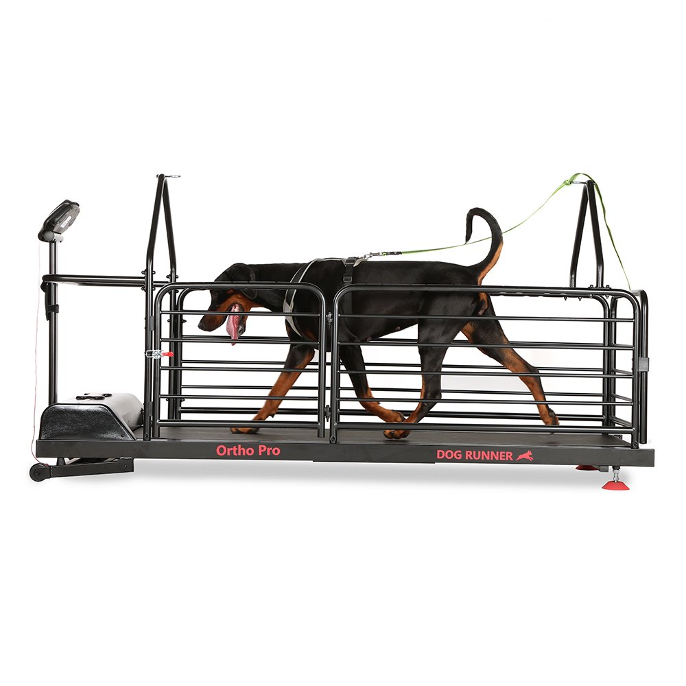 Dog Treadmill Ortho Pro